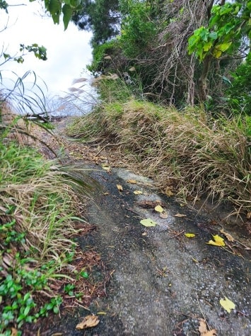 非公用道路現場照片一